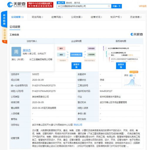 阿里携手长江云通，成立智慧城市新公司瞄准云计算与产业升级